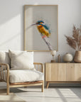 Plakat - Colorful Kingfisher Bird