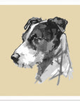 Akustik - A Very Modern Dog No3 - Admen.dk