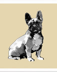 Akustik - A Very Modern Dog No8 - Admen.dk