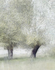 Plakat - Young green