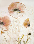 Plakat - Light and soft