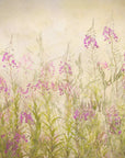 Plakat - Summerfeeling
