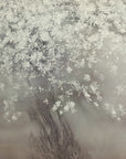 Plakat - Stars of spring