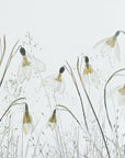 Plakat - Spring!