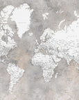Poster - Detailed world map with cities Vali