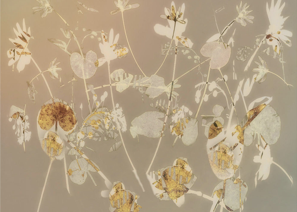 Plakat - Happy flowers