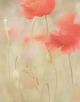 Plakat - Memories