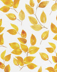 Poster - Curvy leaves
