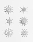 Plakat - Twelve geometric snowflakes in gray