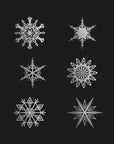 Poster - Twelve geometric snowflakes in black