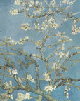 Plakat - Vincent Van Gogh's Almond Blossom (1890) - Admen.dk