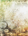 Plakat - Flower Wall Art 28