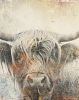 Poster - Cow Highland Illustration Art 01