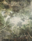 Poster - Jungle Forest Art Illustration 03