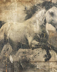 Plakat - Horse Vintage Art Illustration 12
