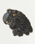 Plakat - Cockatoo - Admen.dk