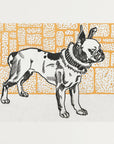Plakat - Pitbull Terrier - Admen.dk