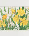 Plakat - Daffodil - Admen.dk