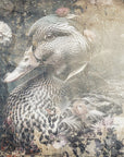 Plakat - Duck Animal Vintage Art Illustration Wallart 05
