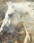 Plakat - Horse Animal Vintage Art Illustration Wallart 12