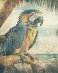 Poster - Parrot Animal Vintage Art Illustration Wallart 03