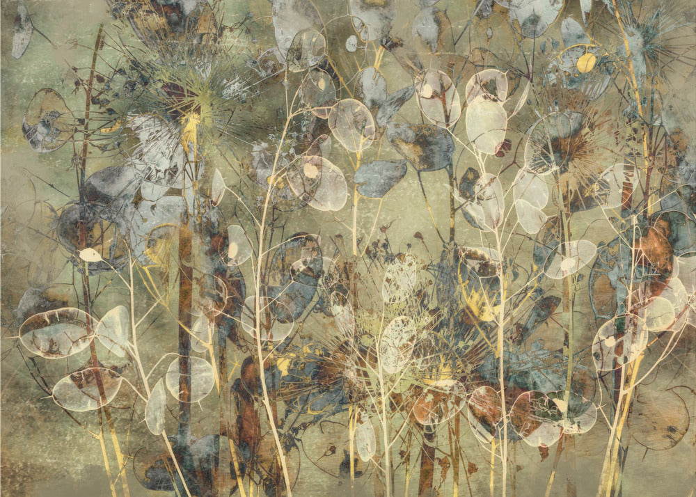 Plakat - Impression of seeds