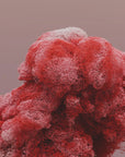 Plakat - Particle Explosion - Admen.dk
