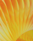 Plakat - Abstract Patterns - Admen.dk