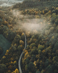 Akustik - Autumn Forest 05 - Admen.dk