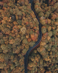 Akustik - Autumn Forest 13