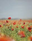 Plakat - Red Flowers 01 - Admen.dk