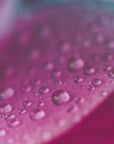 Plakat - Pink Flowers 13 - Admen.dk