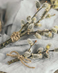 Plakat - White Flowers 22