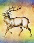 Plakat - Red Deer 5