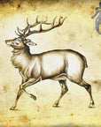 Plakat - Red Deer 6