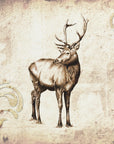 Plakat - Red Deer 8