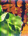Plakat - Collage Green plants Orange Rusty