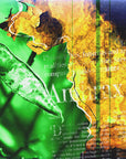 Poster - Collage Green Plants