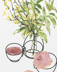 Plakat - Vase, teacup, and rose