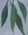 Poster - Sulio cascading leaves