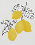 Poster - Lamya lemons