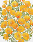 Poster - Gold accented California poppies