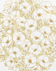 Poster - Gold California poppies