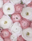 Plakat - Scattered ranunculus in muted pink I