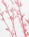 Plakat - Pink dainty branch