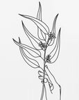 Plakat - Seeded eucalyptus line art