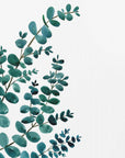 Plakat - Teal watercolor eucalyptus II