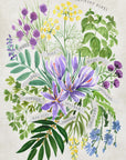 Plakat - Culinary herbs in vintage gray