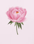 Poster - Peony statement