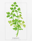 Plakat - Parsley II